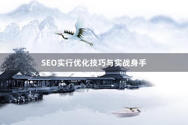 SEO实行优化技巧与实战身手